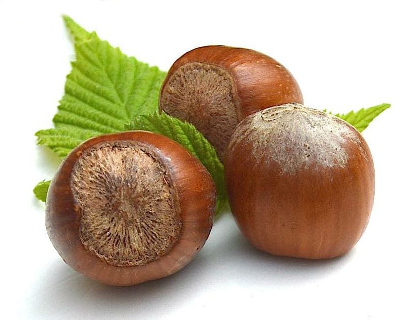 hazelnuts